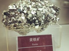 -甘肃地质博物馆