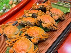 -铂丽斯国际大酒店-凯悦自助餐厅