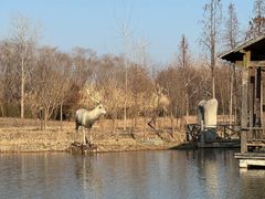 -溱湖国家湿地公园