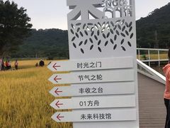 -艾米稻香小镇