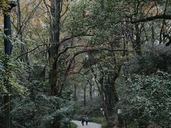 -岳麓山风景名胜区