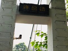-西双版纳原始森林公园