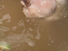 -二刀潮牛(重庆光环购物公园店)