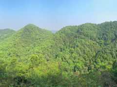 -南山植物园