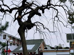 -西郊宾馆·1921餐厅