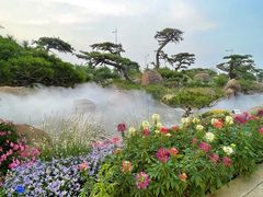 -罗红摄影艺术馆