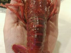 -虾弄弄海派小龙虾·牛羊蝎子火锅