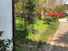 -杭州湾海上花田景区