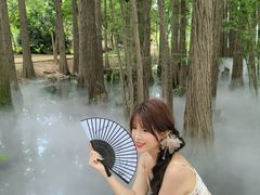 -东湖落雁景区