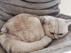 -青春加萌照相馆