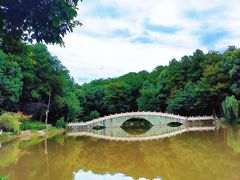 -铁山坪森林公园