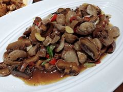 -眉州东坡·熊猫主题餐厅(枫蓝店)