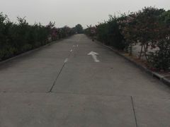 -无忧学车·华茂基地(宝山校区)