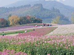-径山花海