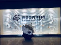 门面-青岛贝壳博物馆