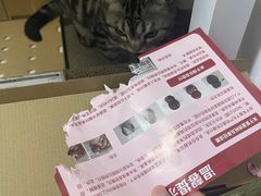 -宠福鑫康馨动物医院·骨科·眼科
