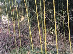 -小仙居·农家宴烤羊· 农庄