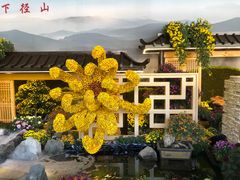 -杭州植物园