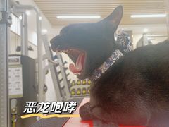 -中田健身工作室(深圳南油店)