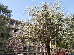 -广西大学(大学东路校区)