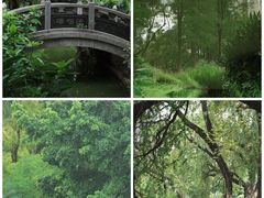 -人民公园(罗湖区)