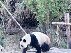 -宁波野生动物园