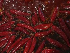 老火锅-大龙火锅(老店)