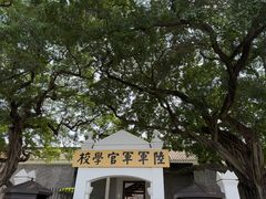 -长洲岛
