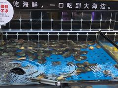 -川骄海鲜自助(河东店)