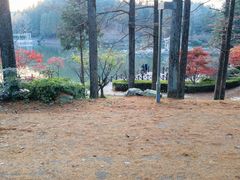 -四明山国家森林公园
