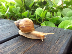 iphone_upload_pic-三亚亚龙湾希尔顿酒店
