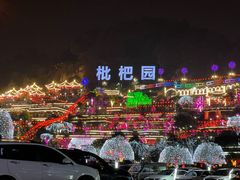 -枇杷园食为鲜火锅(南山店)