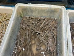 -拉完海鲜大排档(温岭店)