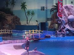 -华夏文旅海洋公园