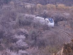 -居庸关长城