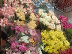 -循礼门鲜花花市(武汉循礼门店)