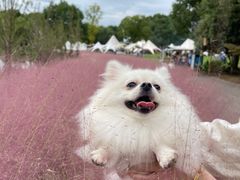 -梁鸿国家湿地公园