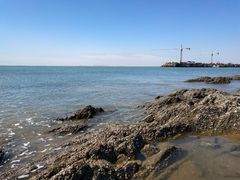 -刘家湾赶海园