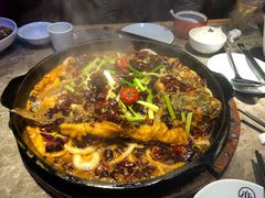 -老板恋上鱼(恒隆广场店)