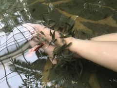 -龙达温泉生态城