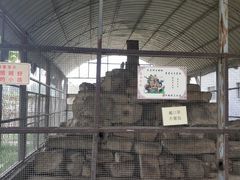 -河北村民俗体验园