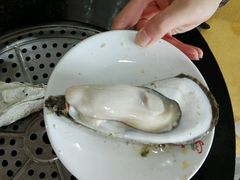 桑拿蚝-蚝专家(北滘店)