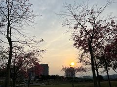 -风云岭森林公园