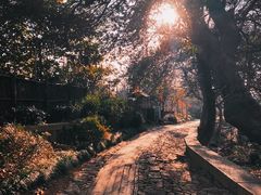 -雨花胜境
