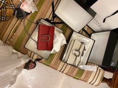 -Gucci(沈阳万象城店)