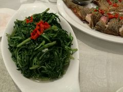 -田园小观园(武大店)