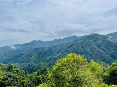 -紫鹊界梯田景区