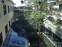 -深圳东部华侨城茵特拉根酒店