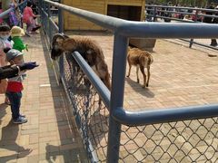 -长白岛森林公园