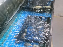 -王记新汕头肠粉炖汤